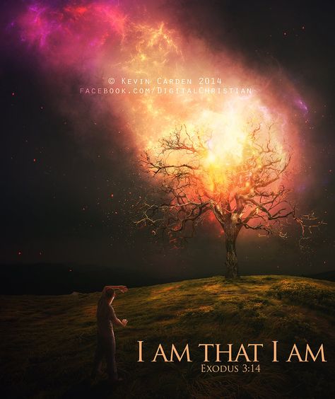 I am that I am by kevron2001 on deviantART The Burning Bush, The Great I Am, Burning Bush, Bible Pictures, Prophetic Art, Ayat Alkitab, Biblical Art, The Burning, Jesus Art