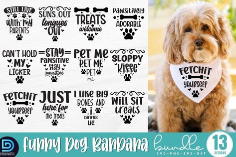 Dog Bandana Sayings 🐾 Funny Dog Bandana Sayings, Dog Bandana Sayings, Dog Bandana Svg, Dog Phrases, Bandana Svg, Animal Clothes, Cricut Funny, Pet Crafts, Dog Bandanna