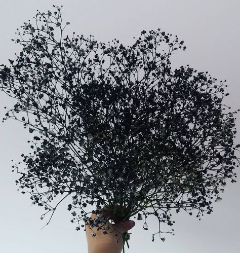 How about some cool black sprayed dried baby's breath/gypsophila? Black Baby Breath, Loki Crown, Babies Breath Flowers, Ideas For Flowers, Roses Purple, Breath Flowers, Easter Happy, Wild Photography, Gothic Garden