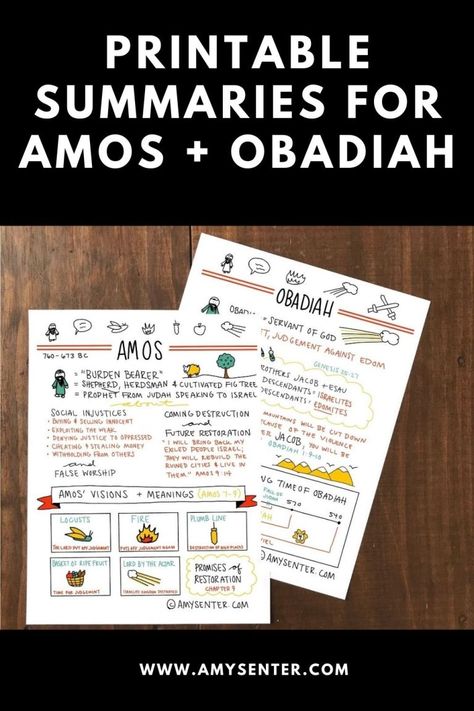 Printable Study for the Book of Amos and Obadiah in the Bible Amos Bible, Lds Activities, Prophets Of The Bible, Genesis 25, Bible Studies For Beginners, Dig Deeper, Social Injustice, Bible Notes, Old And New Testament