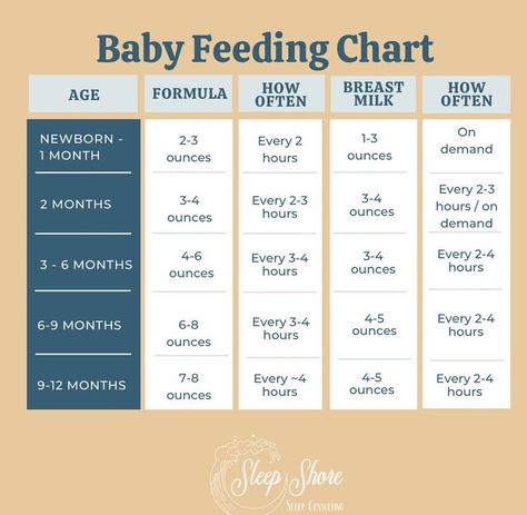 Newborn Feeding Amount, Formula Feeding Newborn, Feeding Newborn, Baby Chart, Birth Partner, Baby Feeding Chart, Baby Nursery Organization, Newborn Feeding, Formula Feeding