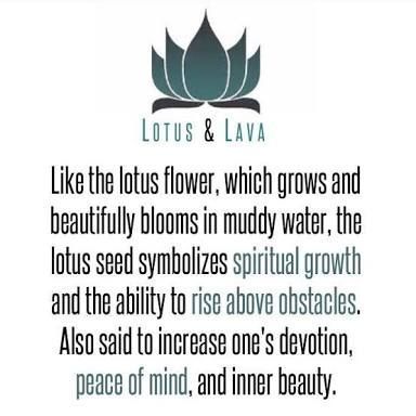 Lotus Flower Meaning, Flower Meanings, Lotus Flowers, Spiritual Growth, Yoga Meditation, Lotus Flower, Inner Peace, Energy Healing, The Mind