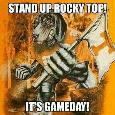 Stand Up Rocky Top! It's Game Day! Tennessee College Football, Touchdown Tennessee, Tn Vols Football, Tn Titans, University Of Tn, Tn Football, Ut Football, Rocky Top Tennessee, Tennessee Volunteers Football