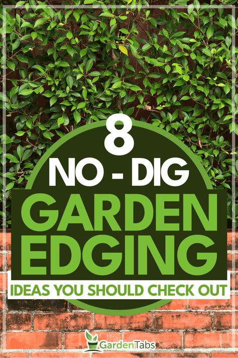 No-Dig Garden Edging Ideas: Stone Pathways and Raised Beds Recycled Garden Edging, Garden Edging Ideas Cheap, Garden Dividers, Garden Edger, Stone Pathways, Grass Edging, Patio Edging, Lawn Borders, Brick Garden Edging