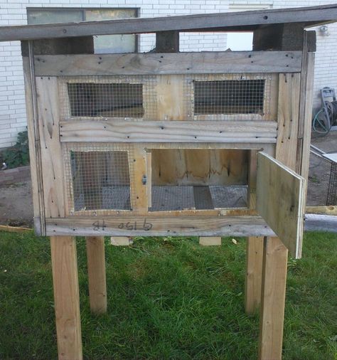 A cheap and easy build for backyard pigeon keeping! Diy Pigeon, Pigeon Coop, Loft Diy, Pigeon Loft Design, Pigeon Cage, Pigeon House, Pigeon Loft, Coop Ideas, Raise Chickens