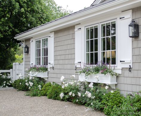 Cape Cod Exterior, Window Shutters Exterior, Shutter Colors, White Shutters, House Shutters, Cottage Exterior, Cape Cod House, Shutters Exterior, Casa Exterior