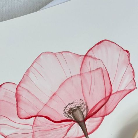 Olga Koelsch on Instagram: "Day 61/100 Transparent Flowers. ❤️Thank you everyone who joined the live class today! There was such a nice creative vibe there, are you agree? I enjoyed painting together and I super thankful for your positive feedback! Would you like more live painting like this? ❤️ Looking forward to seeing your poppies! (Use hashtag #olgakoelschclass)  . . #the100dayproject  #100daysproject #the100dayproject2024 #transparentflowers  #fabrianopaper #royaltalens #watercolorpainting #botanicalillustration#inspiredbynature #watercolorguide  #watercolorist #watercolordaily #watercolorgallery" Olga Koelsch, Painting Together, Royal Talens, Transparent Flowers, Live Painting, Looking Forward To Seeing You, Botanical Illustration, Looking Forward, Positive Feedback