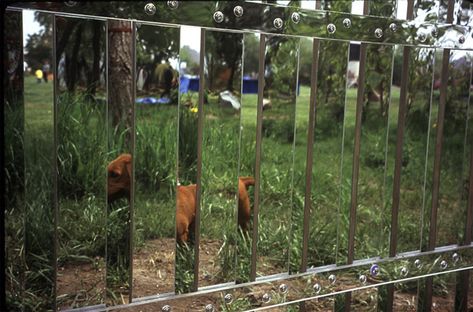 Mirror Fence Mirror Fence, Great Poets, Storm King Art Center, Courtyard Ideas, Outdoor Mirror, King Art, Plant Combinations, Garden Pool, Fence Panels