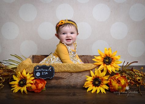 Amy Ross Studio Photography | Plymouth Michigan Baby Photographer | Canton Michigan Baby Photographer | Sunflowers | Fall Portraits | Six Month Portraits Preschool Photography, Photography In Studio, Newborn Photo Pose, Plymouth Michigan, Baby Birthday Photoshoot, Sunflower Photo, Baby Posters, Arch Decoration Wedding, Newborn Poses