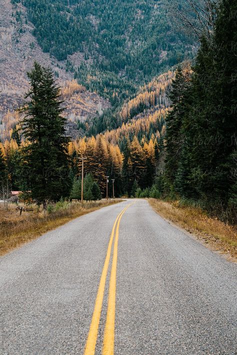 Rural Washington, West Aesthetic, Aesthetic Journal, Elements Of Art, Country Girl, Travel And Leisure, Us Images, Love Photography, Pacific Northwest