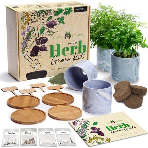 Gardening Kit Gift, English Thyme, Genovese Basil, Cilantro Seeds, Herb Garden Pots, Italian Parsley, Culinary Chef, Growing Herbs Indoors, Herb Garden Kit