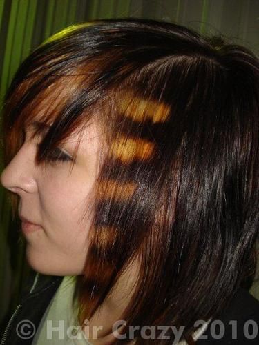 Coontail Hair, Hot Pink Hair, Lob Hairstyle, Lob Haircut, Top Hairstyles, Emo Hair, Dyeing Techniques, Racoon, Horizontal Stripes