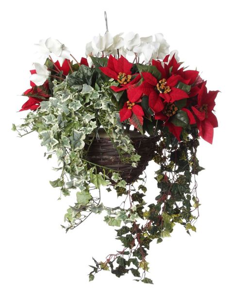 Love this! Winter Baskets, White Cyclamen, Winter Hanging Baskets, Winter Outdoor Decorations, Hanging Baskets Diy, Christmas Hanging Baskets, Winter Window Boxes, Artificial Hanging Baskets, Saffron Walden