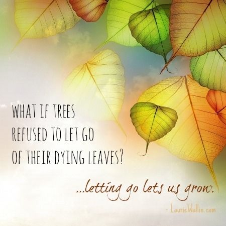 Letting go let's us grow. quote autumn leaves move on fall let go autumn quote fall quote Astrology App, Leaf Quotes, Letting Go Quotes, Go For It Quotes, App Ios, Garden Quotes, Autumn Quotes, Little Library, Dressing Your Truth