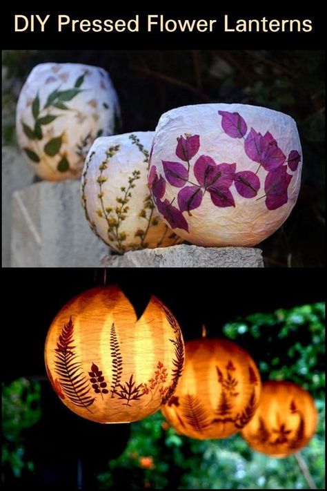 Pressed Flower Lanterns, Lanterns Diy, Paper Lanterns Diy, Lantern Craft, Pressed Flower Crafts, Diy Lanterns, Pressed Flower Art, Home Diy Decor, Diy Projects On A Budget