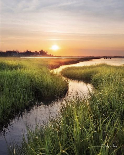 Exploring the marshes of Cape Cod! 🏆 Photo of the day by @bettywileyphoto🏆 Tag us or use #newenglandtraveljournal to share your photos #explorenewengland #mynewengland #ignewengland #travel #newengland #ontheroad #newenglandlife #newenglandliving #photooftheday Salt Marsh Photography, Marsh Landscape Photography, Coastal Landscape Photography, Marshes Landscape, Painting Reference Photos Landscape, Marsh Pictures, Marsh Aesthetic, Cape Cod Landscape, Maine Lupines