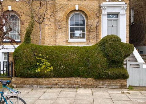 There's always room for a little humour in the garden! Dog Topiary, Diarmuid Gavin, Claude Ponti, International Dog Day, Garden Goals, Islington London, Nantes France, Hamamatsu, Basset Hounds