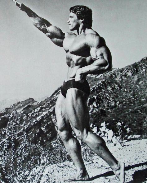 #arnoldschwarzenegger #arnold #schwarzenegger #king #arnoldking Arnold Schwarzenegger Muscle, Body Muscle Anatomy, Old Bodybuilder, Arnold Schwarzenegger Bodybuilding, Dorian Yates, Schwarzenegger Bodybuilding, Gym Wallpaper, Bodybuilding Pictures, Ripped Body