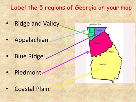 Georgia Regions, Free Reading Comprehension Worksheets, Third Grade Social Studies, Us Geography, 2nd Grade Class, Georgia History, 3rd Grade Social Studies, Geography Activities, Georgia Map