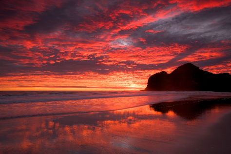 Sunset Horizontal, Bethells Beach, Manga Food, Sunset Landscape Painting, Beach Red, Sunset Seascape, Pirate Princess, Travel Home Decor, Sunrise Pictures