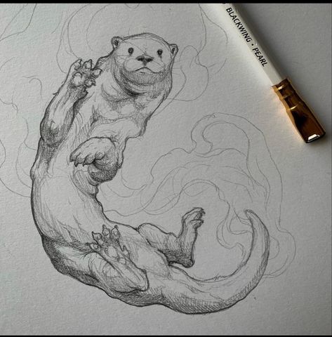 Andy Tattoo, Otter Drawing, Otter Illustration, Scratchboard Art, Animal Drawings Sketches, Cute Drawing, Get More Followers, Desenho Tattoo, Arte Inspo