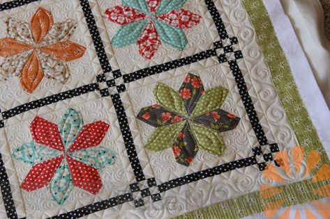 Piece N Quilt: June 2015 Country Fair, Sampler Quilts, Quilt Design, Mini Quilts, Free Motion Quilting, Longarm Quilting, Scrap Quilts, Quilt Piecing, Picture Design