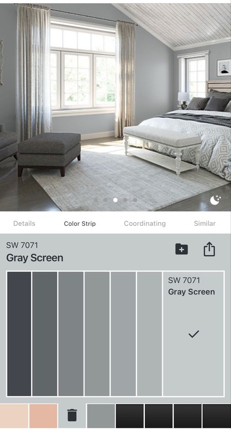 2 Tone Gray Walls Living Room, Gray Screen Color Palette, Gray Screen Sherwin Williams Living Room, Grey Screen Paint Sherwin Williams, Gray Screen Sherwin Williams, Sw Gray Screen, Sherwin Williams Gray Screen, True Grey Paint Color, Bedroom Paint Colors Grey