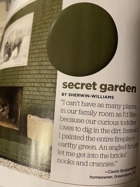 Secret Garden Sherwin Williams, Sherwin Williams Secret Garden, House Redo, Cabin Kitchen, Green Ideas, Cabin Kitchens, Color Chip, Angled Brush, Interior Paint Colors