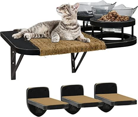 AmazonSmile : Cat Hammock Cat Wall Shelves with 3 Steps, Cat Shelves and Perches with 2 Cat Food Shelf, Cat Climbing Shelf Cat Scratching Post Cat Wall Shelf for Indoor, Cat Steps with Plush Covered : Pet Supplies Steps Indoor, Cat Wall Shelf, Cat Climbing Shelves, Food Shelf, Cat Wall Shelves, Cat Climbing Frame, Cat Wall Furniture, Cat Steps, Cats Black