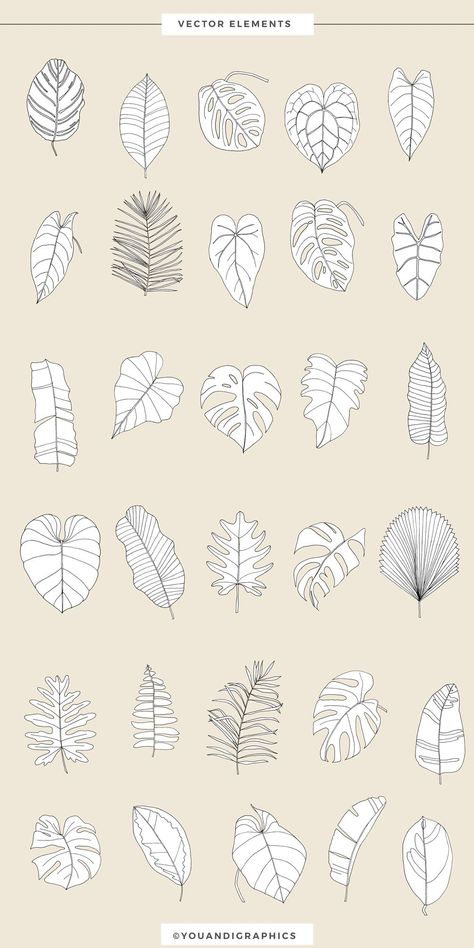 Tropical Leaves Illustration, Leaf Illustrations, Adobe Illustrator Pattern, Vector Leaf, Illustration Design Graphique, Tropical Patterns, Leaves Illustration, Leaf Illustration, Leaf Drawing