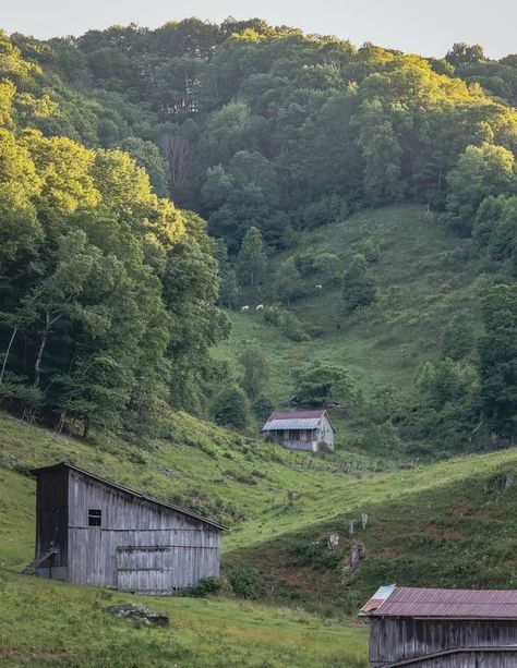 Applachia Aesthetic, Poor Country Aesthetic, Appalachia Gothic Aesthetic, Appalachian Country Aesthetic, Old Appalachia, Poor Southern Aesthetic, Old Appalachia Aesthetic, 1930s Appalachia, Southern Gothic Aesthetic House