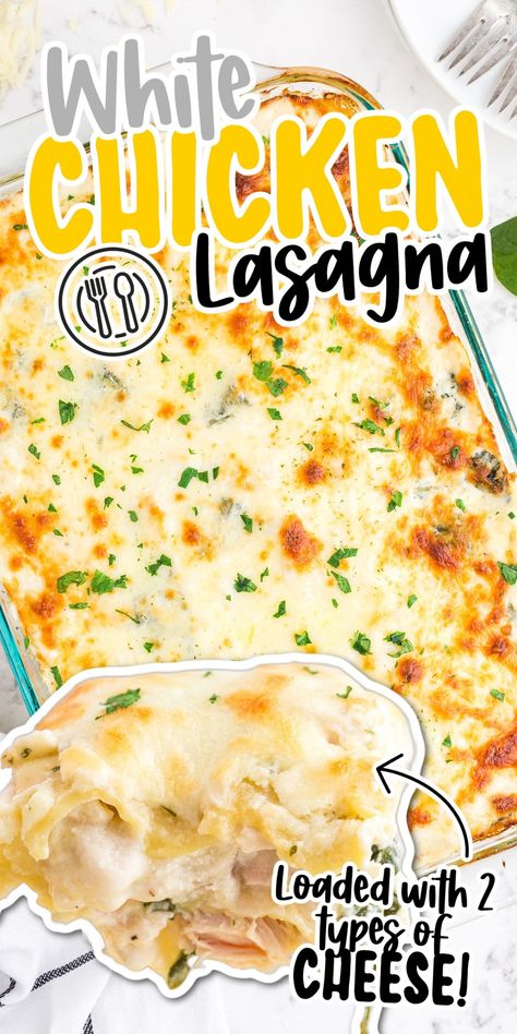 White Chicken Lasagna is creamy and cheesy, made of layers of al dente noodles, white sauce, ricotta cheese mixture, and shredded cheese. Creamy White Cheese Chicken Lasagna, White Chicken Lasagna, Chicken Lasagna Recipe, Dinner 2023, Chicken Alfredo Lasagna, Can Chicken Recipes, Lasagna Casserole, Baked Chicken Recipes Easy, Cheese Lasagna