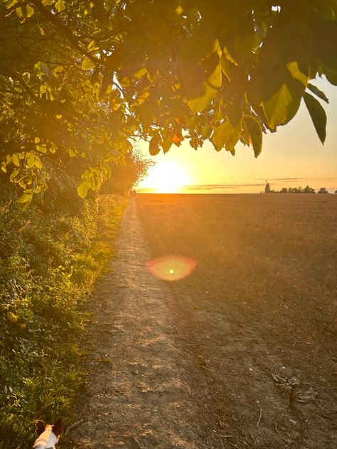 evening sunset walks