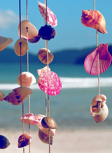 shell wind chime, a great diy project after a day of collecting shells at the beach! Background Facebook, Kristina Webb, Scenic Nature, Shell Wind Chimes, Cover Facebook, Cover Picture, Timeline Cover, Fb Cover, Bohol