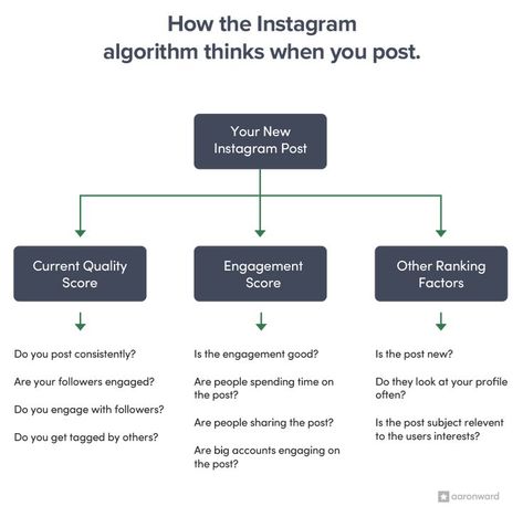 How The Instagram Algorithm WORKS in 2019 (Important Tips To Grow) How Instagram Algorithm Works, Instagram Algorithm Tips, Reels Cover, Solopreneur Business, Instagram Course, Instagram Planning, Social Media Content Strategy, Instagram Places, Social Media Management Services