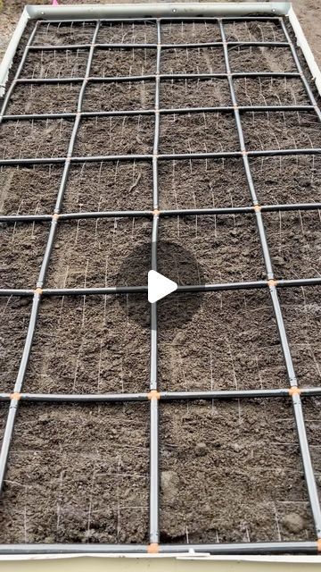 Grid Watering System, Grid Instagram, Garden Grid, Keyhole Garden, Garden Boxes Raised, Watering System, Set It Up, Veg Garden, Grand Junction