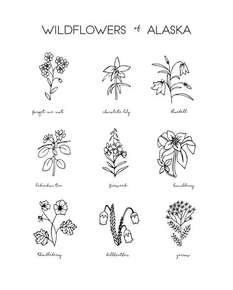 Alaska Tattoo, Wilderness Tattoo, Pnw Tattoo, Wildflower Drawing, Illustration Black And White, Native Tattoos, Wildflower Tattoo, Tattoo Outline Drawing, Spooky Tattoos