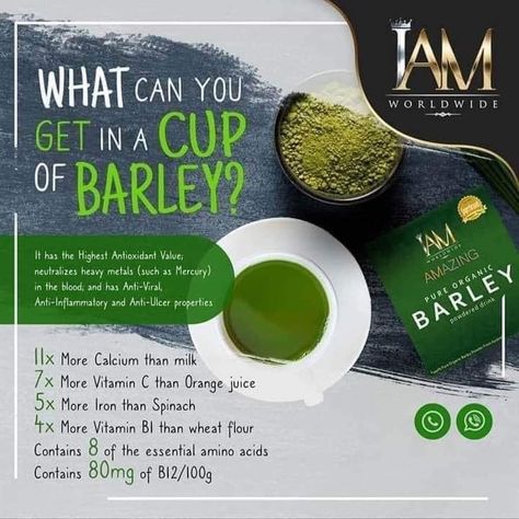 Message me is the key Barley Benefits, Barley Powder, Pearled Barley, Reduce Cholesterol, Organic Living, Health Knowledge, Health Drink, Improve Digestion, Blood Sugar Levels