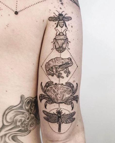 Animal Tattoos: On Animism and Tattooin Pacific Tree Frog, Stink Bug, Crab Tattoo, Etching Tattoo, Insect Tattoo, Bug Tattoo, Frog Tattoos, Dungeness Crab, Line Work Tattoo