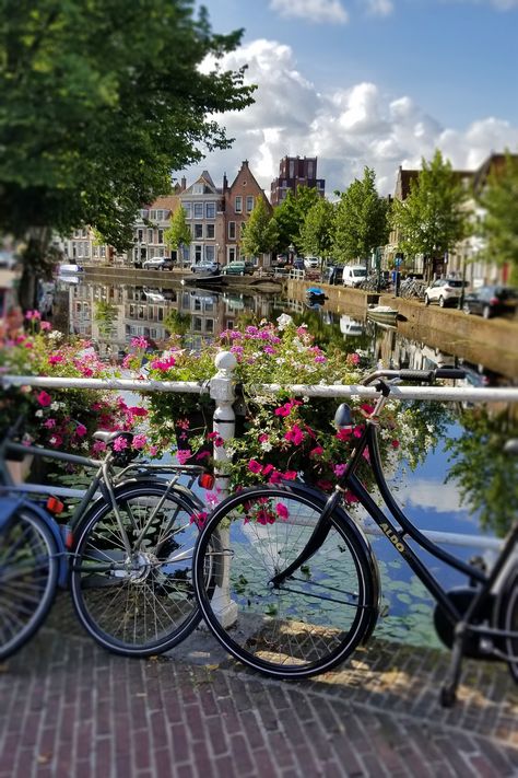 Bridge in Leiden, Netherlands