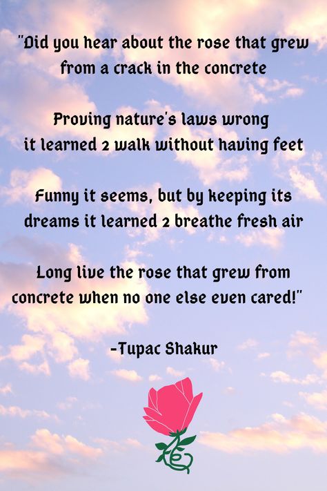 Rap Poems, Tupac Poems, Tupac Poem To Jada, Quotes By Tupac Shakur, Best Tupac Songs, Tupac Or Shakespeare, Pray For Enemies, Rose Poems, Tupac Quotes