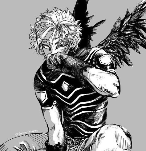 Hawks Bnha, Hawk Pictures, Keigo Takami, Hero Academia Characters, Doja Cat, My Hero Academia Manga, Anime Sketch, Izuku Midoriya