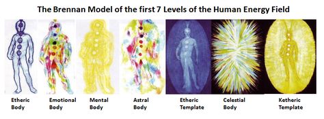 Human Energy Field from Barbara Brennan Book "Hands of Light" Hands Of Light, Human Energy Field, Human Energy, Aura Healing, Etheric Body, Body Template, Energy Medicine, Life Force Energy, Emotional Body