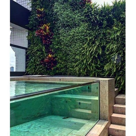 Kleiner Pool Design, Piscina Interior, Pool Landscape Design, Glass Pool, Small Pool Design, Small Pools, Backyard Pool Designs, Swimming Pools Backyard, Swimming Pool Designs