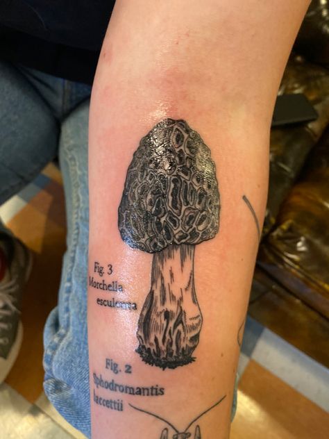 got my third tattoo done by Ms. Devon at Three Ravens in Athens on december 30th of 2022! can't wait to see it healed! Morrell Mushroom Tattoo, Mycology Tattoo, Realistic Mushroom Tattoo, Mycelium Tattoo, Morel Mushroom Tattoo, Wood Tattoo, Shoulder Cap Tattoo, Scene Tattoo, Mushroom Tattoo