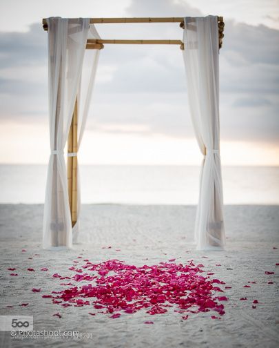 Tropical matrimony - alter on the beach by Photashoot Pre Wedding Background, King Background, Photo Editing Background Hd, Insta Logo, Wedding Photo Editing, Black Phone Background, Oil Painting Background, Red Background Images, Desktop Background Pictures