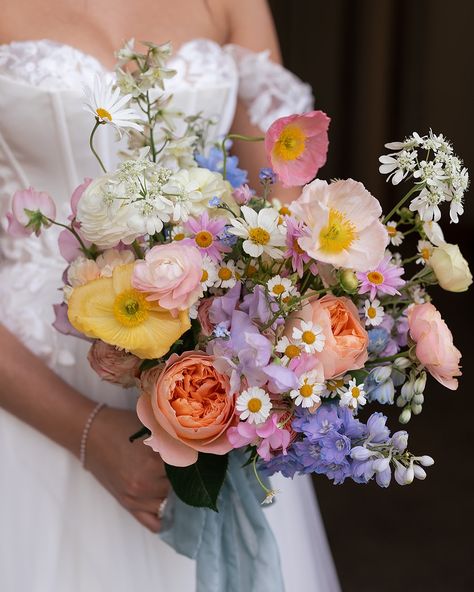 Jack & Shania ✨ Photographer + Videographer @figtreepictures Venue @summergroveestate Celebrant @melissa_price_mpm_and_co Florist @beesblossomsfloralstudio Dress @luvbridal Suit @mjbale Makeup @katedevlin Hair @amyspryhair Cake @vegandelightsbyjane Accessories @thewholebride @tweedcoastweddings Wildflower Wedding Spring, Bride Bouquets Wild Flowers, Mountain Flower Bouquet, Spring Wedding Bouquets Wildflowers, Wild Flower Wedding Colors, Simple Wildflower Wedding Bouquet, Colorful Bridesmaid Bouquet, Fall Wildflower Wedding, Wildflower Bouquet Wedding