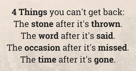 We love inspirational quotes and sayings like this one. There are 4 things you can't get back: the stone after it's thrown, the word after it's said, the occasion after it's missed, and the time after it's gone! #inspirational #quotes 4 Things You Cant Get Back In Life, Get After It Quotes, Stone Quotes, Best Things In Life, Random Quotes, Mindful Living, Free Speech, The Stone, Free Samples