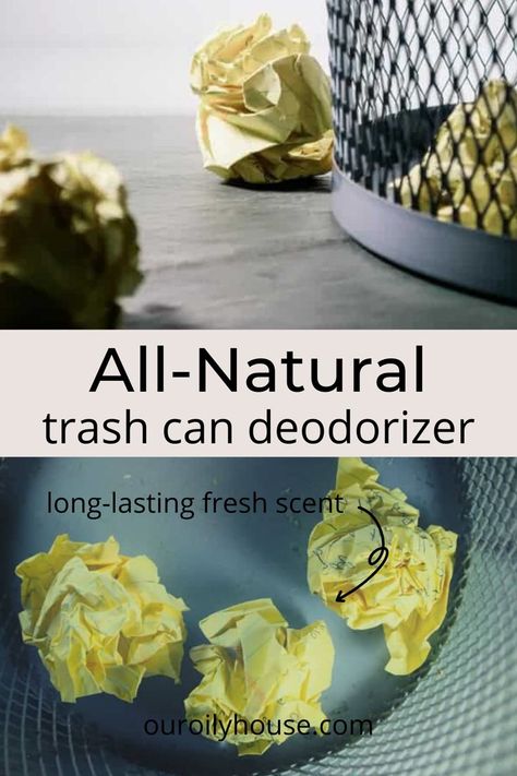 Odor Eliminator Diy, Air Freshener Recipes, Lime Powder, Outdoor Trash Cans, Diy Scent, Fast Food Items, Your Trash, Natural Air Freshener, Kitchen Trash