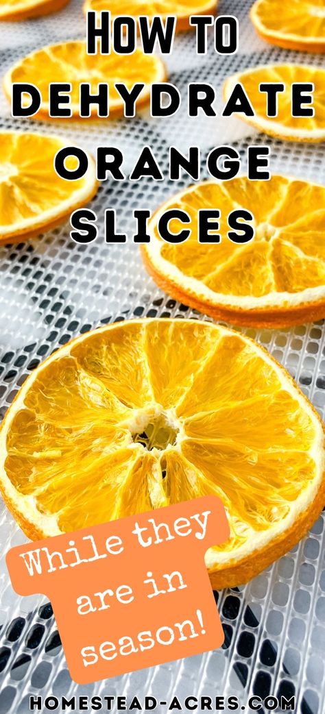 Make dehydrator orange slices while oranges are in season! You can easily dry sliced oranges in your oven or dehydrator and enjoy them in recipes or use them as decorations for holiday garlands, or potpourri. Dried Oranges In The Oven, Drying Oranges In Dehydrator, Dehydrating Oranges In Dehydrator, Dehydrator Seasoning, How To Dehydrate Oranges, How To Make Dried Orange Slices, Dehydrate Orange Slices, Dehydrating Oranges, Dehydrate Oranges